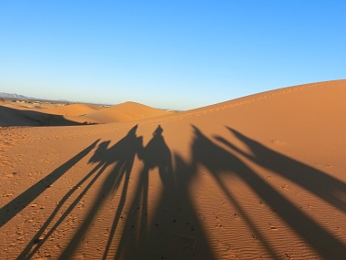 サハラ砂漠2.jpg