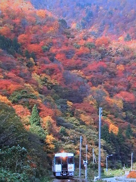 東北の山々は紅葉真っ最中.jpg
