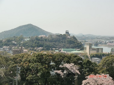 犬山城と桜.jpg