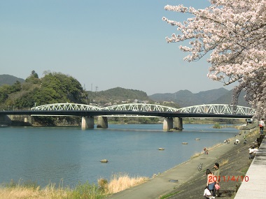 犬山橋と桜.jpg