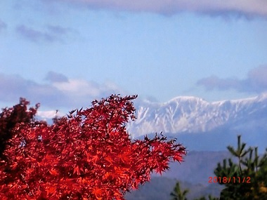 笠ヶ岳と紅葉.jpg